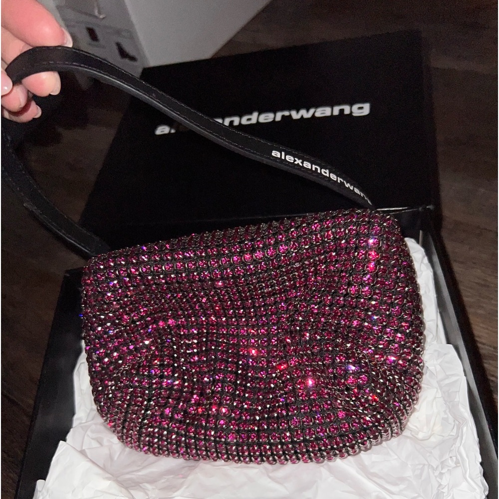 Alexander wang sparkly bag